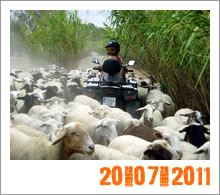 Quad Mountain Adventures Tour 20-07-2011